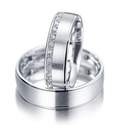 Meister Classics Wedding Rings / Platinum