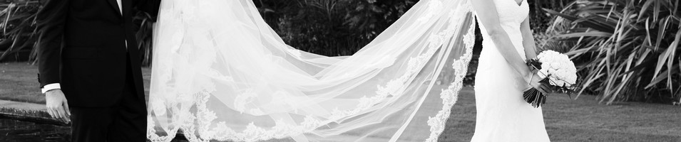 Ace Weddingservice